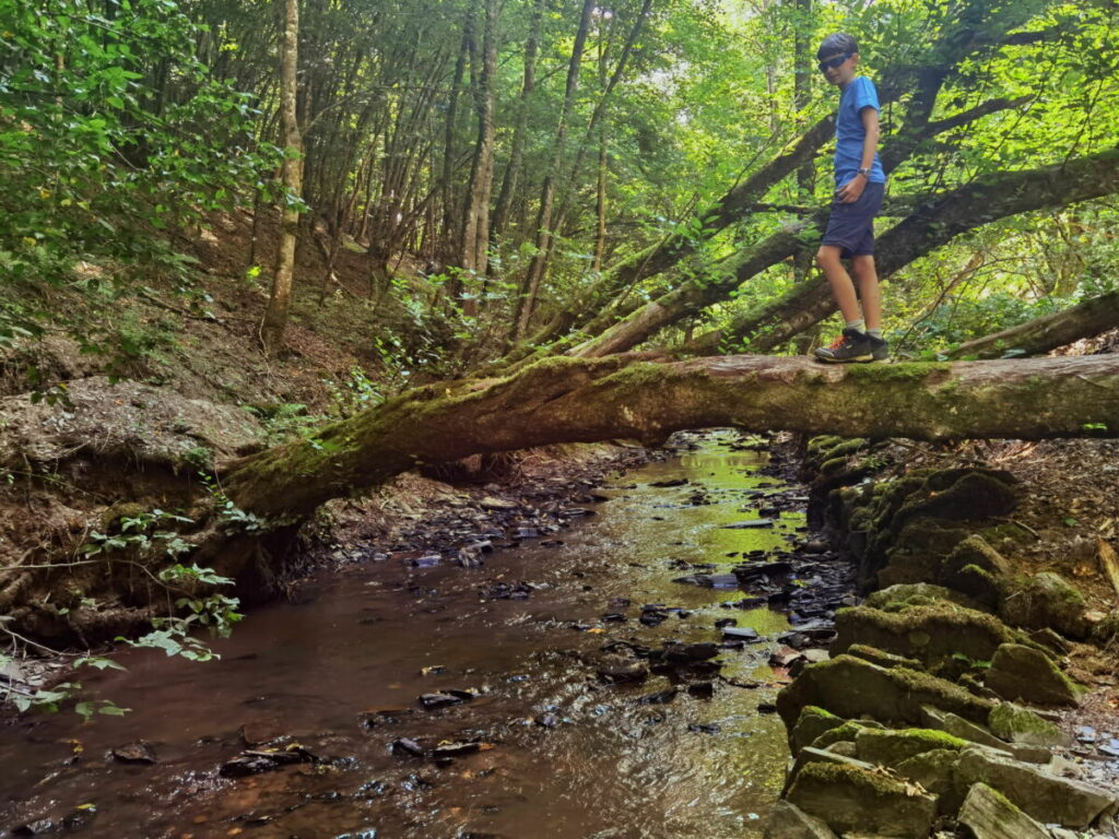 Idyllisch in einer der schönsten Klammen in Deutschland - die Baybachklamm im Hunsrück