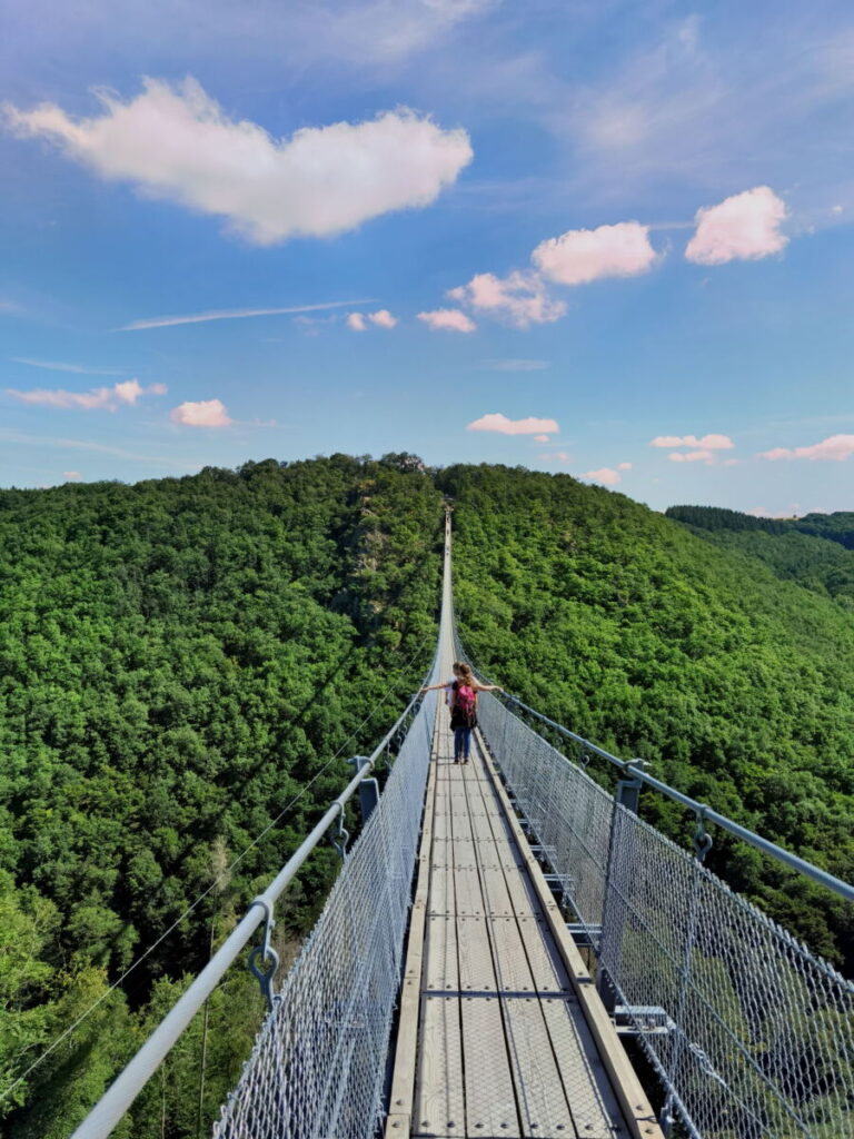 bekannte Brücken in Deutschland: Die Geierlay im Hunsrück