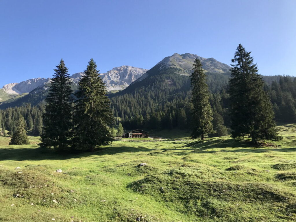 Die Buckelwiesen bei der Gaistalalm in der Leutasch