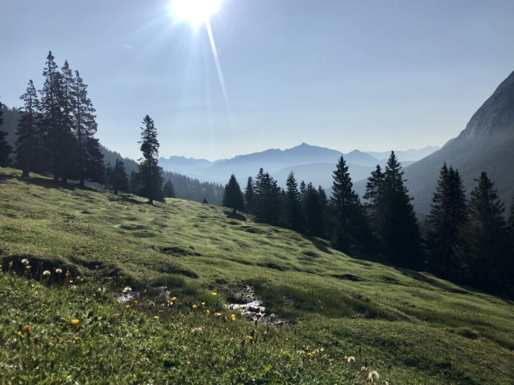 Die Buckelweisen in der Leutasch, mit Blick auf das Karwendel