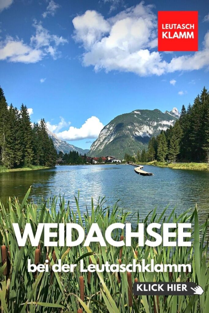 Weidachsee angeln