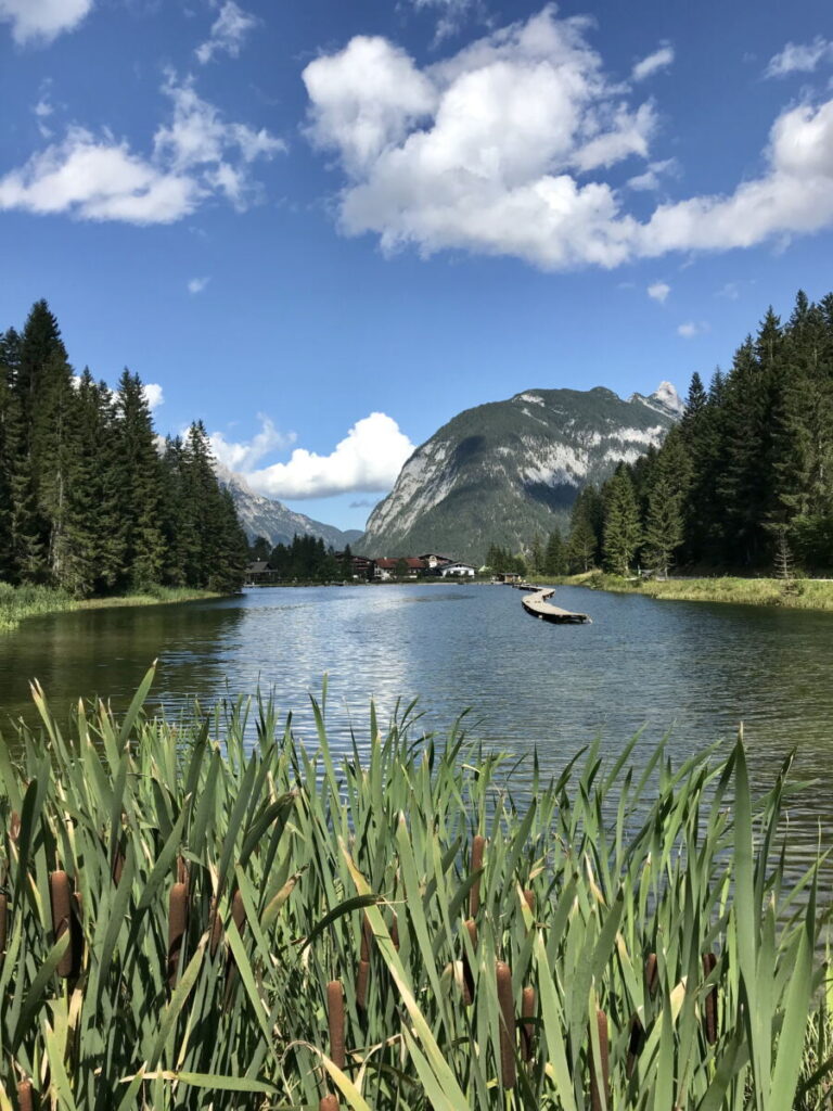 Blick über den Weidachsee